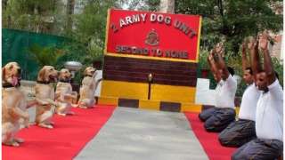 People across the world celebrated the fifth international