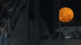 cold moon