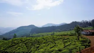 Ooty: 5 places you should visit in the hill station for the