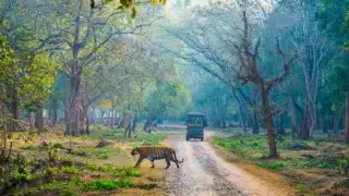 5 national parks near Delhi you can visit during t