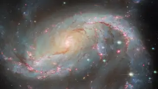 This NASA Hubble Space Telescope image shows a barred