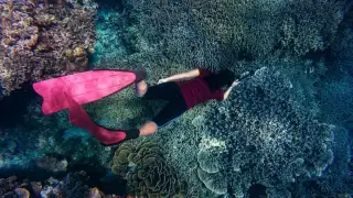 5 best places for scuba diving in India
