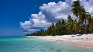 5 best white sand beaches in India