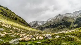 9 best places to visit in India in April