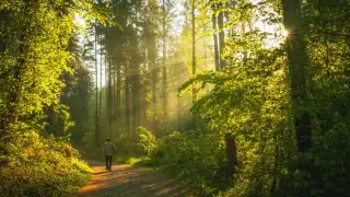 5 best destinations in India for nature walks