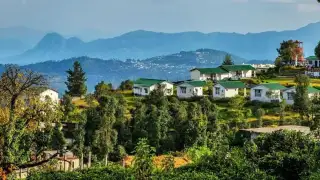 5 best hill stations in India for the perfect summ