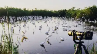 7 best places in India for bird watching