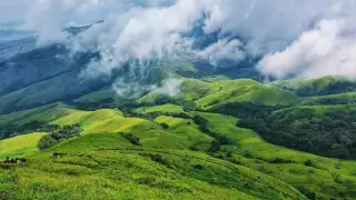 Scenic view of coffee plantations in Chikmagalur