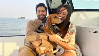 Varun Dhawan dog