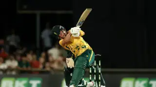 Dewald Brevis