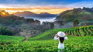 1. Vietnam remains a luxury favorite because the Indian