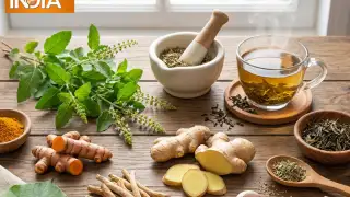 Herbs that support immunity and overall health