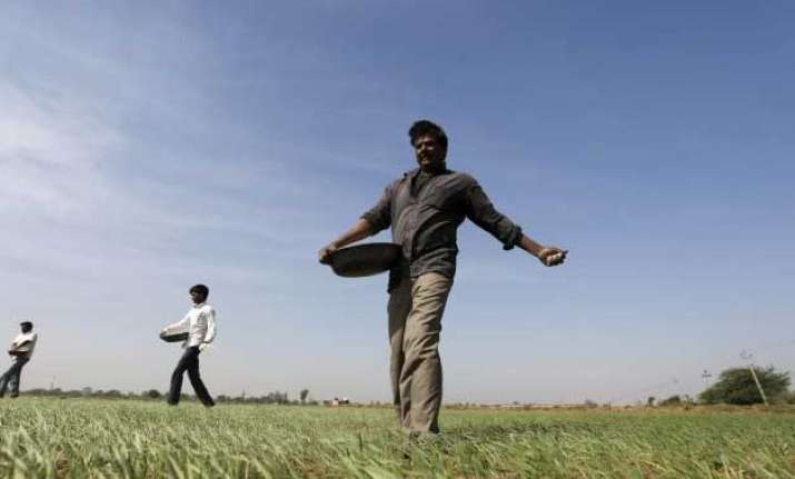 Farmers sprinkle fertilizer