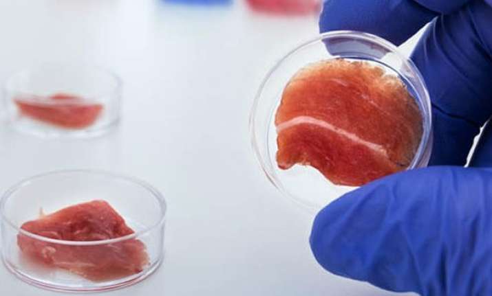 Indian-American scientist develops meat in laboratory