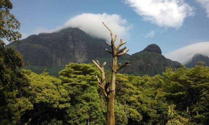 Agasthyamala Biosphere Reserve