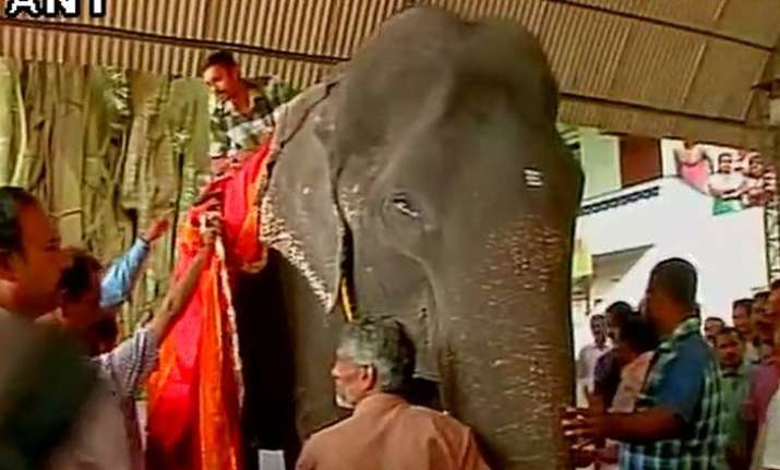 This 86-year-old Kerala elephant is all set to enter
