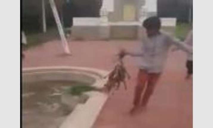 Three puppies allegedly burnt alive by youngsters in