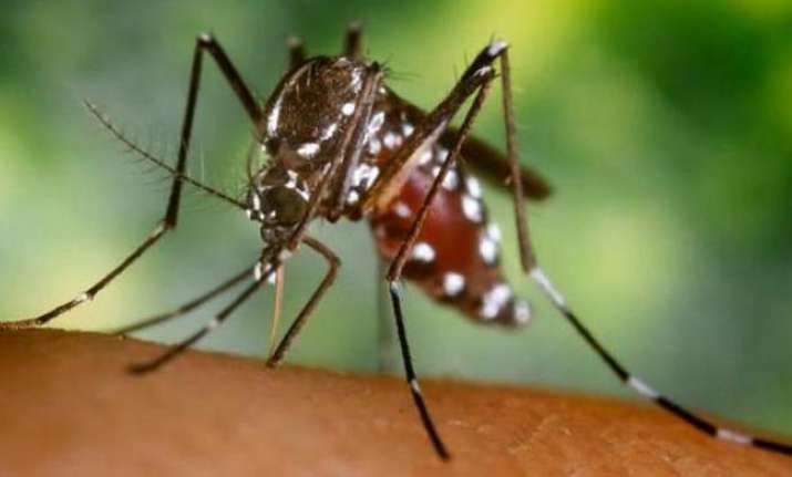 Chikungunya