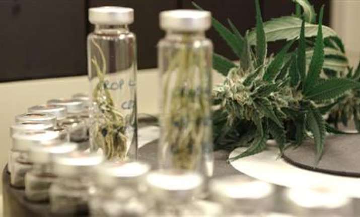 Marijuana compound may improve night vision