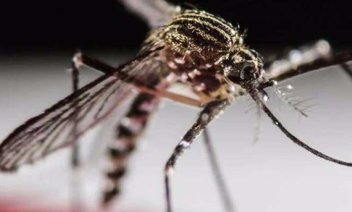 Two more Indians infected with Zika in Singapore- India TV