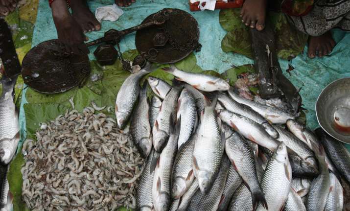 Indian scientists recycle fish bio-waste into green energy