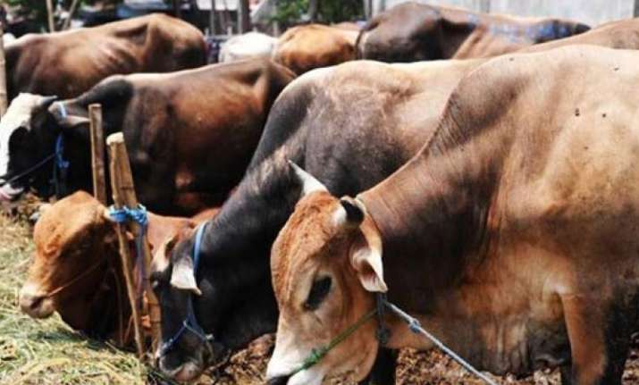 Govt sets up panel for research on benefits of cow