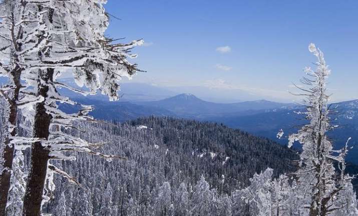 Scientists discover 260 million-year-old Antarctica forest that existed ...