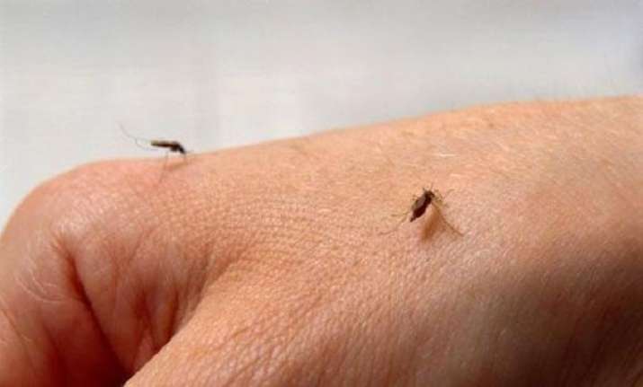 Image result for Why mosquitoes bite you