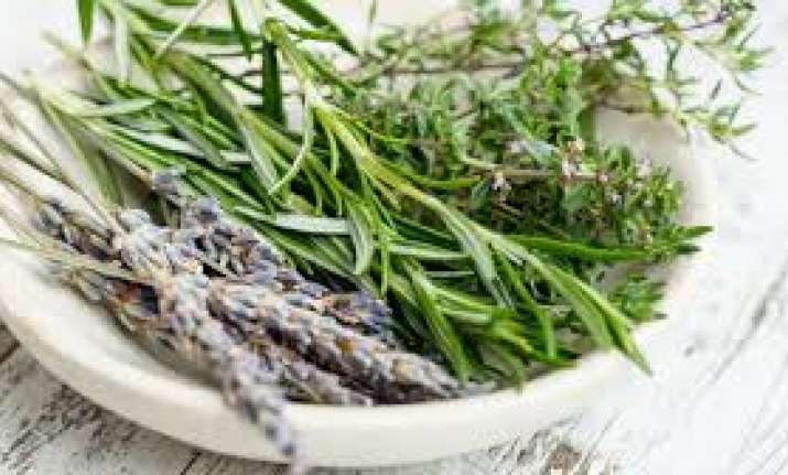 Want to live healthier, happier life? Include these 6 herbs