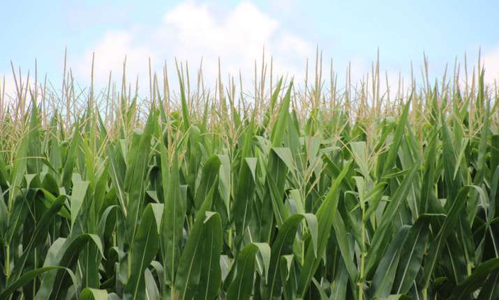 ECOSTRESS will measure the temperature of plants from