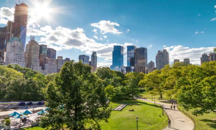 Greening vacant land is a highly inexpensive and scalable