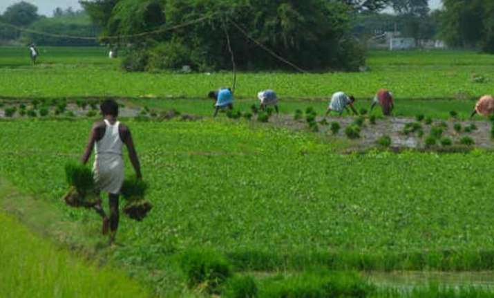 Madhya Pradesh Farmer Gets Loan Waiver Of Rs 13 Instead Of Rs 24,000 ...