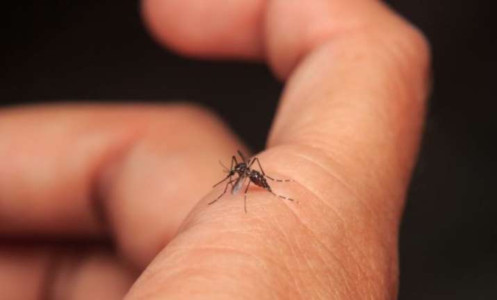 Doctors save patient from severe dengue type disorder