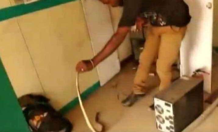 Shocking! Snake found inside ATM in Tamil Nadu, watch