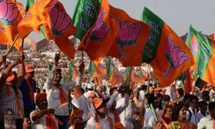 BJP Flags