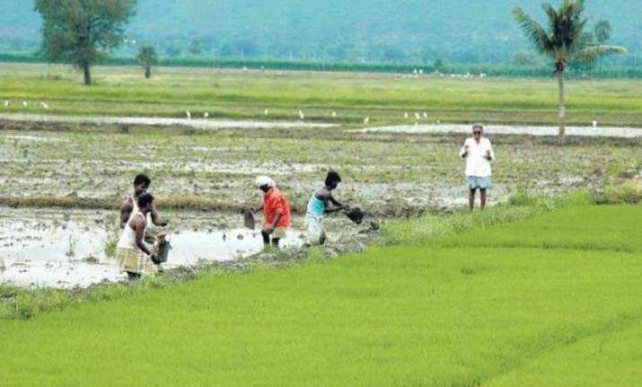 PM Kisan Scheme