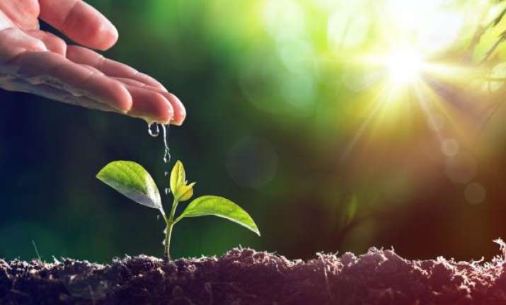 World Environment Day 2019: Eco-friendly measures that will