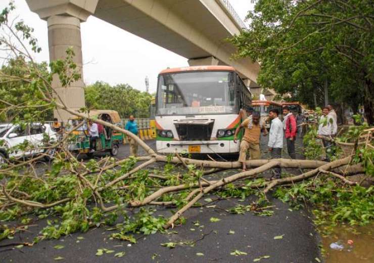 Noida: An uprooted tree following strong winds and heavy rain - India Tv