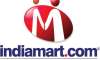 indiamart inducts lizzie chapman on its board