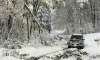 snowstorm knocks out us northeast millions without power