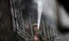 garments factory gutted in east delhi fire