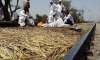 gujjar agitation rajasthan high court pulls up state govt