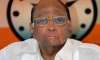 pawar s decision on contesting bcci election likely by feb