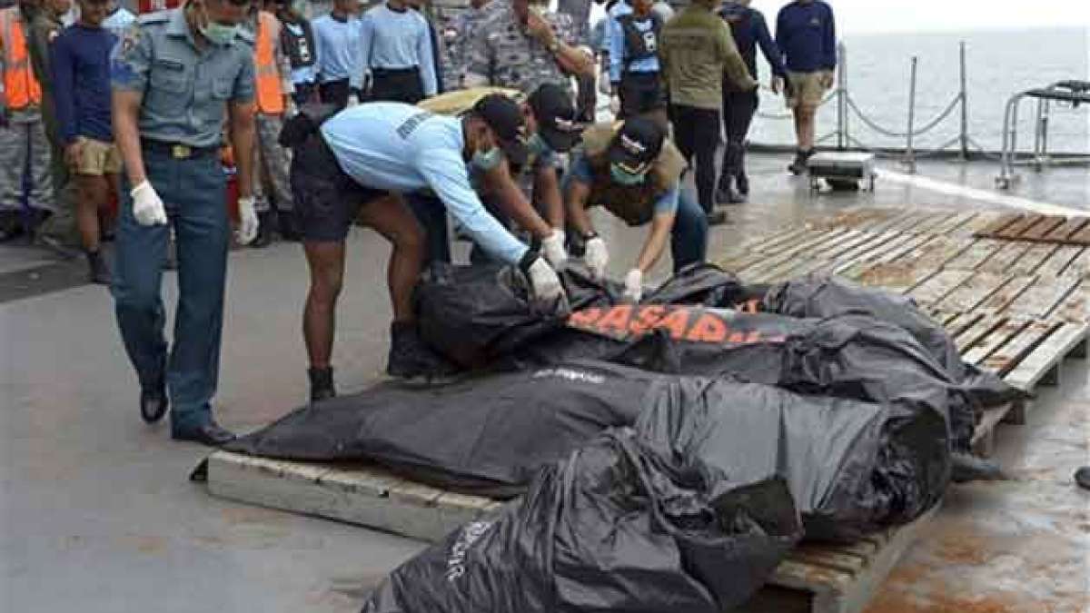 Australian Experts Help Identify Airasia Victims India Tv