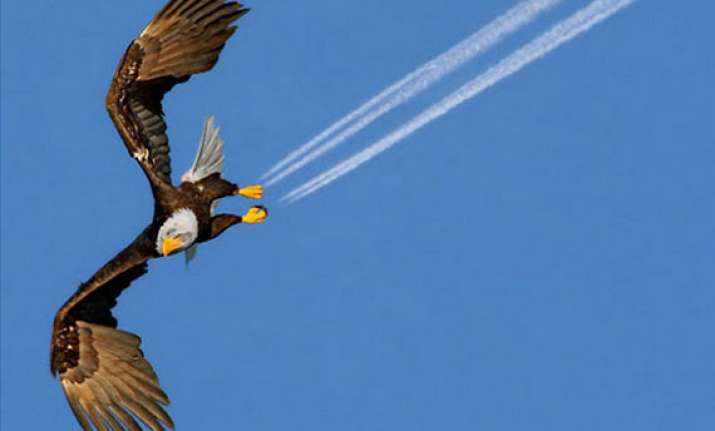30 most perfectly timed photos ever part ii