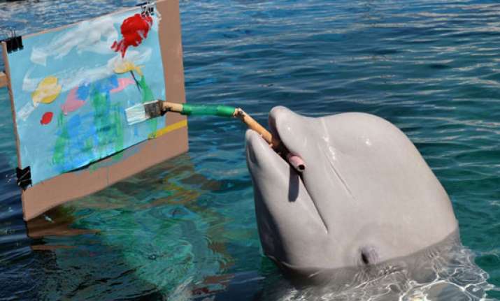 amazing photos from around the globe part i