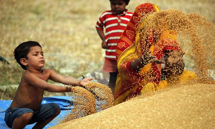 bumper record harvest of 250 mn tons says pm