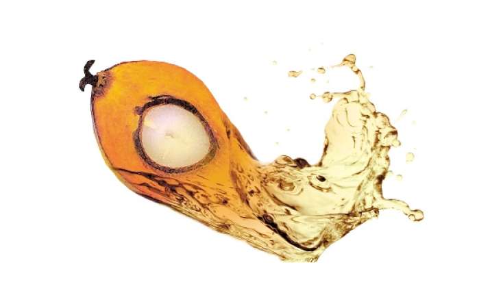 crude palm oil futures remain weak on sluggish demand