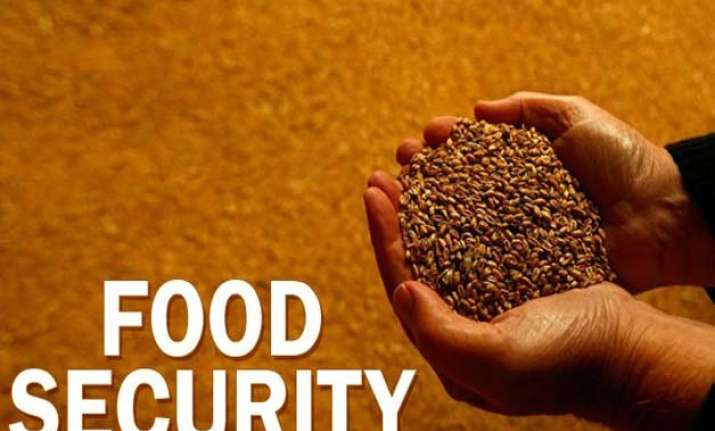 india to seek permanent solution to food security issue at