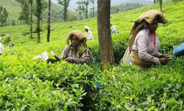 kerala tops in exports investments through agri export zone
